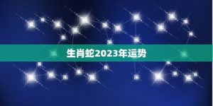生肖蛇2023年运势(事业财运双丰收)